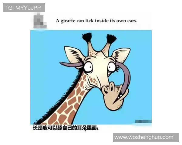 你不知道的VAR：十大冷知识大揭秘