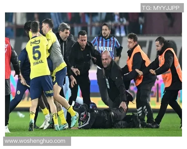 球星打架事件盘点 球星打架事件盘点