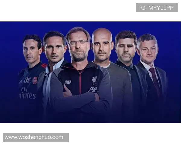 数据模型分析阿森纳胜率预测结果详细解读与未来走势分析